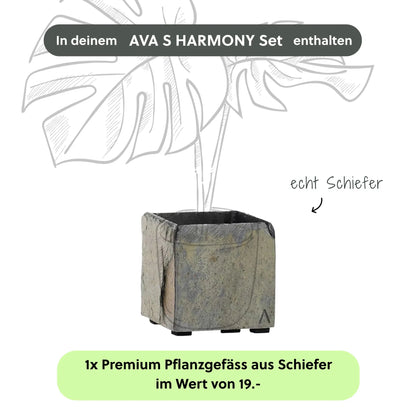 Kleine Wasserwand AVA S HARMONY Set - CLIMAQUA