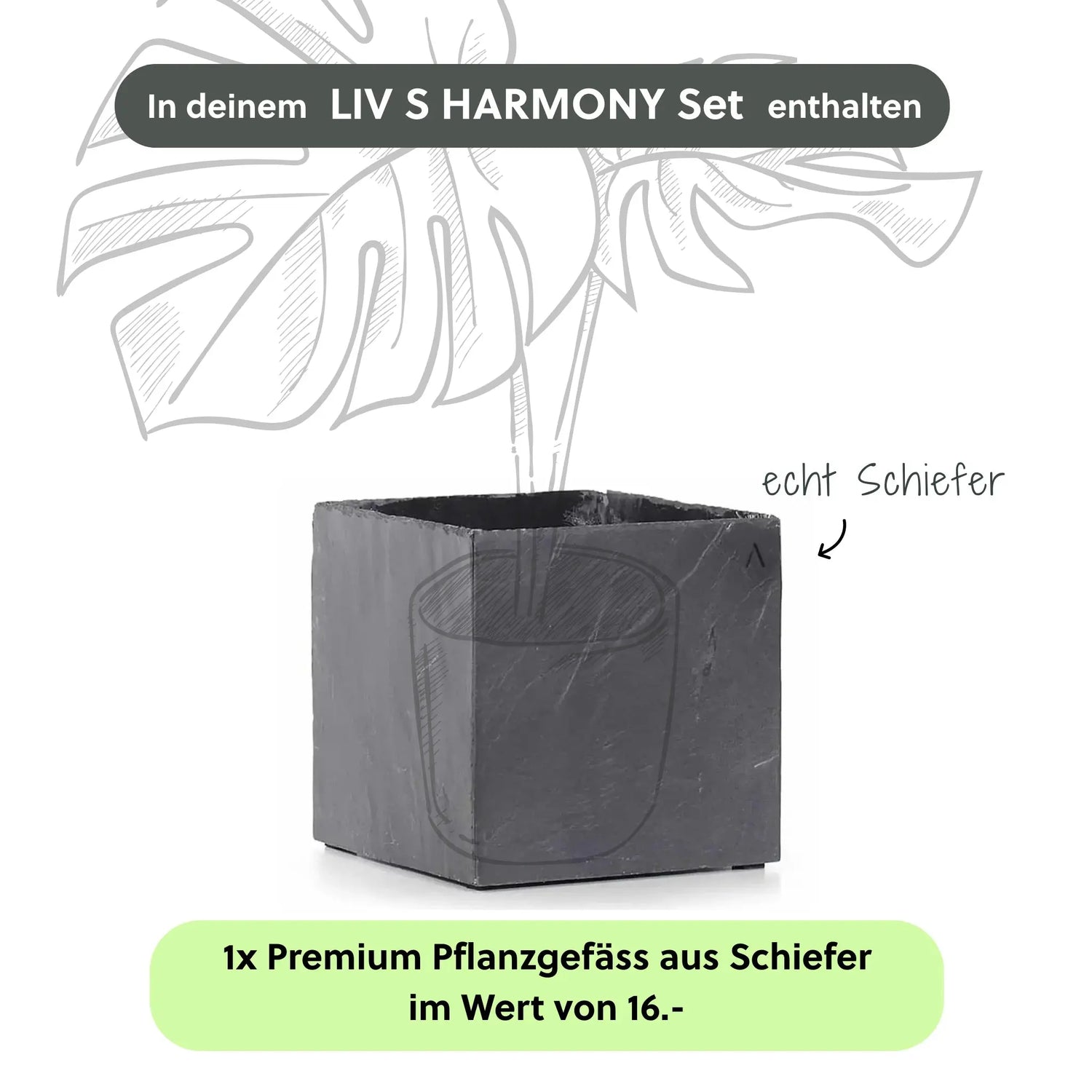 Kleine Wasserwand LIV S HARMONY Set - CLIMAQUA