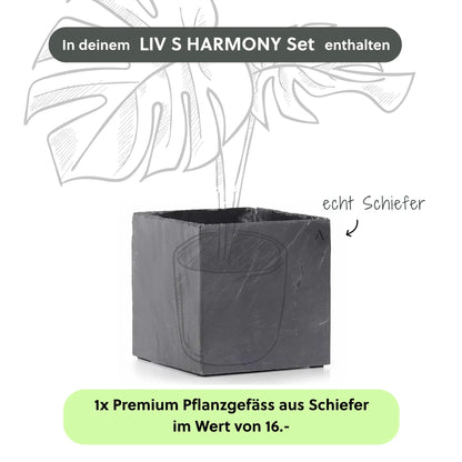 Kleine Wasserwand LIV S HARMONY Set - CLIMAQUA
