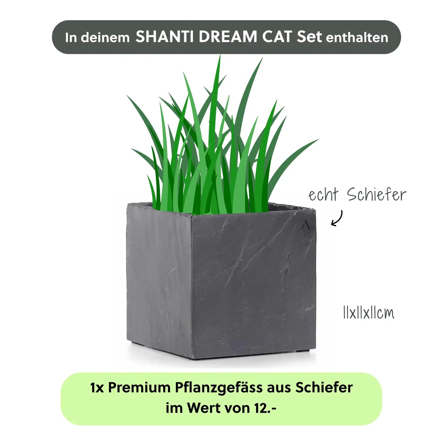Katzenbrunnen SHANTI DREAM CAT SET - CLIMAQUA