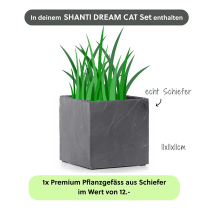 Katzenbrunnen SHANTI DREAM CAT SET - CLIMAQUA