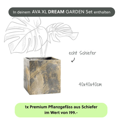 Wasserwand AVA XL DREAM GARDEN Set - CLIMAQUA
