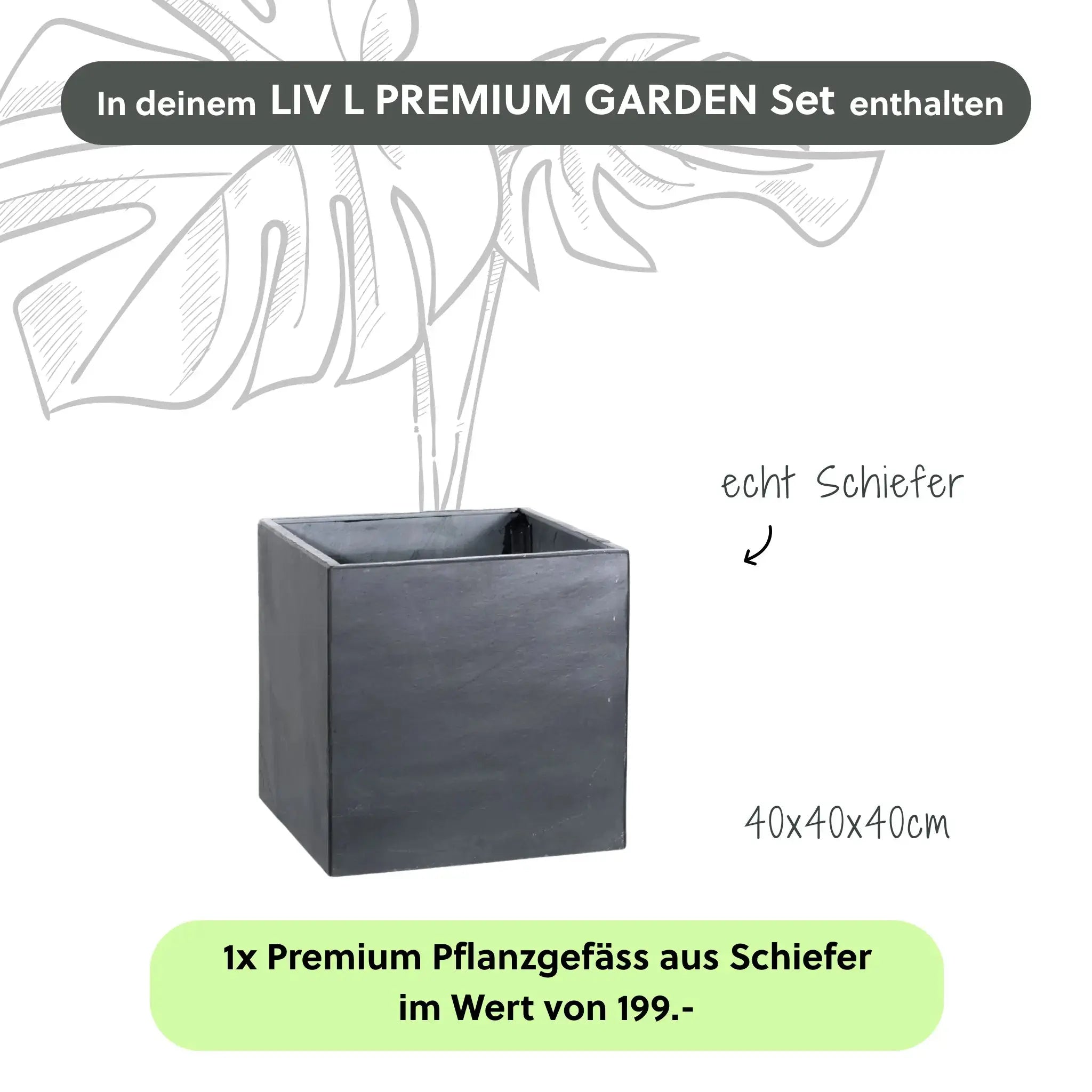 Wasserwand LIV L PREMIUM GARDEN Set - CLIMAQUA