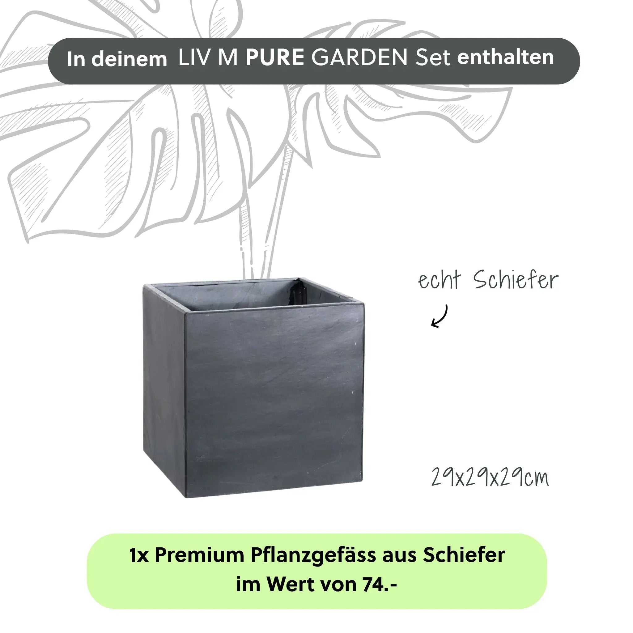 Wasserwand LIV M PURE GARDEN Set - CLIMAQUA