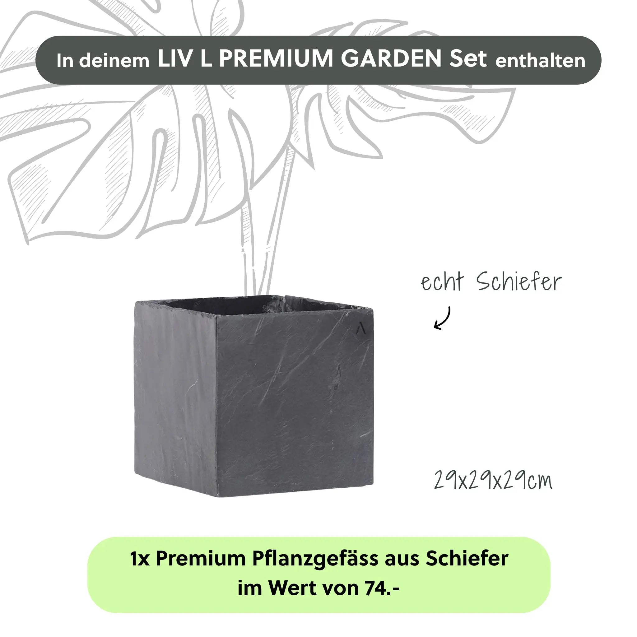 Wasserwand LIV L PREMIUM GARDEN Set - CLIMAQUA