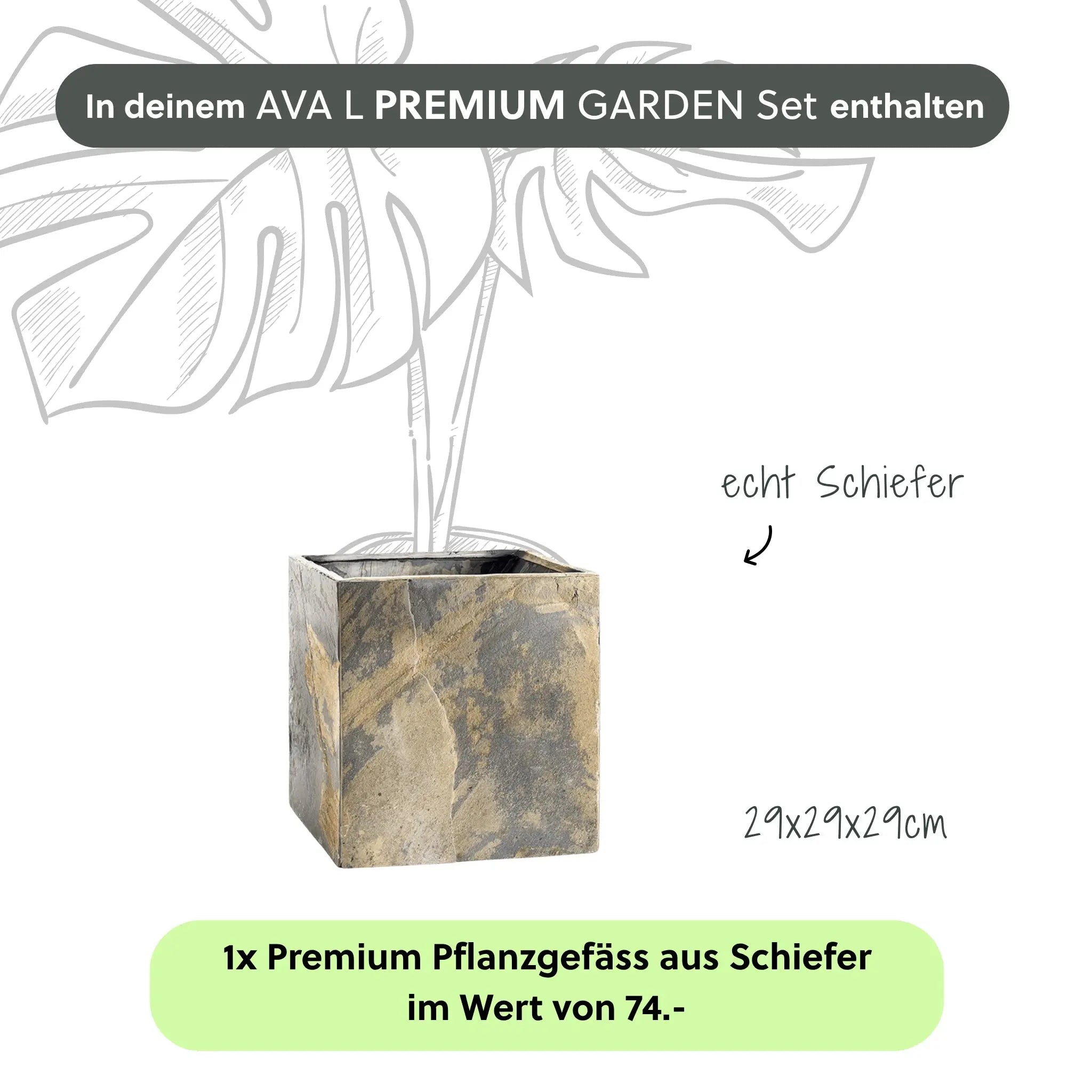 Wasserwand AVA L PREMIUM GARDEN Set - CLIMAQUA