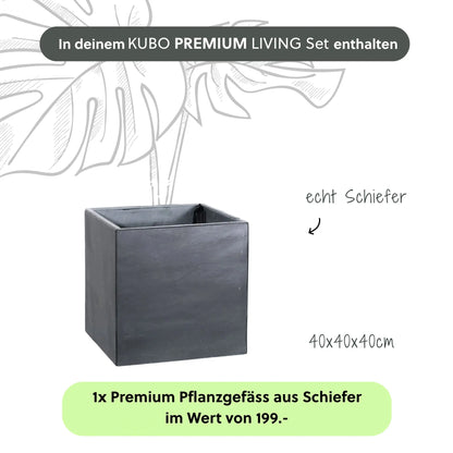 Gartenbrunnen KUBO PREMIUM LIVING Set - CLIMAQUA