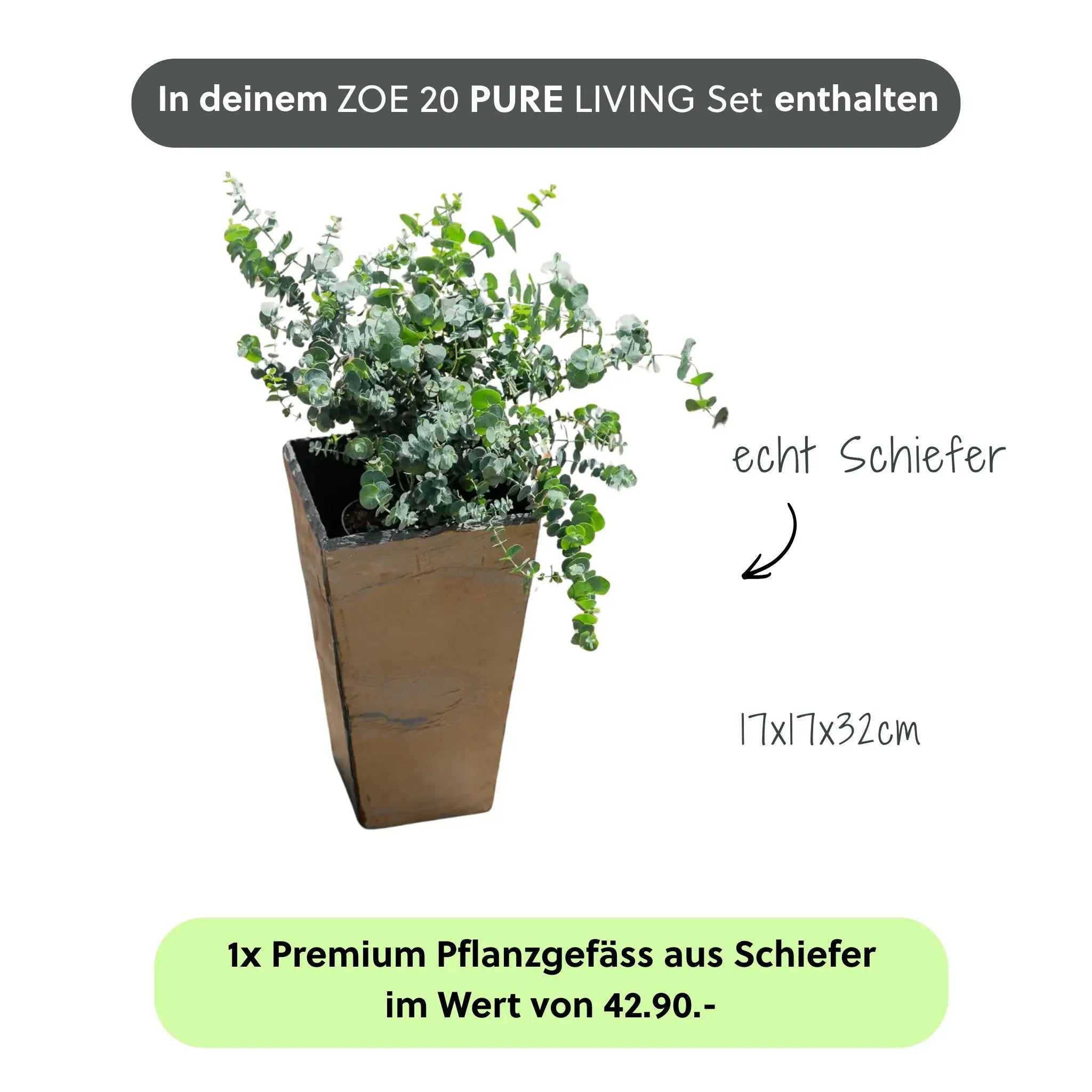 ZOE 20 PURE LIVING Set - CLIMAQUA