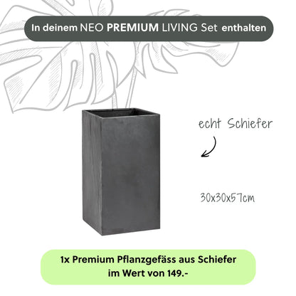 NEO PREMIUM LIVING Set - CLIMAQUA