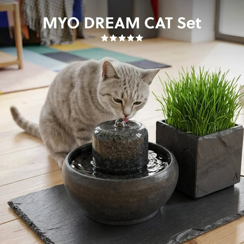 Katzenbrunnen MYO DREAM CAT SET