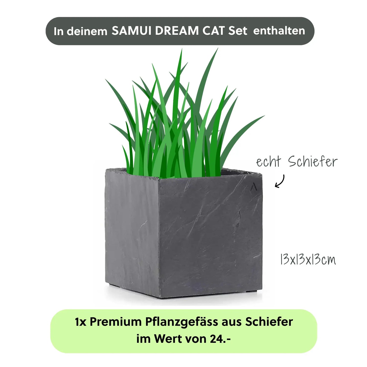 Katzenbrunnen SAMUI DREAM CAT SET - CLIMAQUA