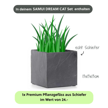 Katzenbrunnen SAMUI DREAM CAT SET - CLIMAQUA