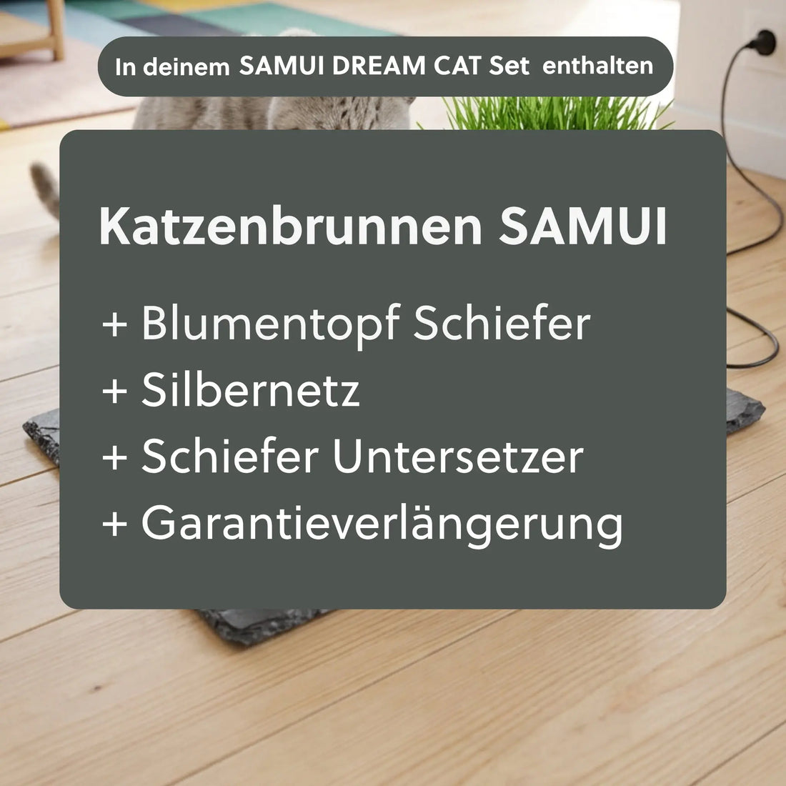 Katzenbrunnen SAMUI DREAM CAT SET - CLIMAQUA