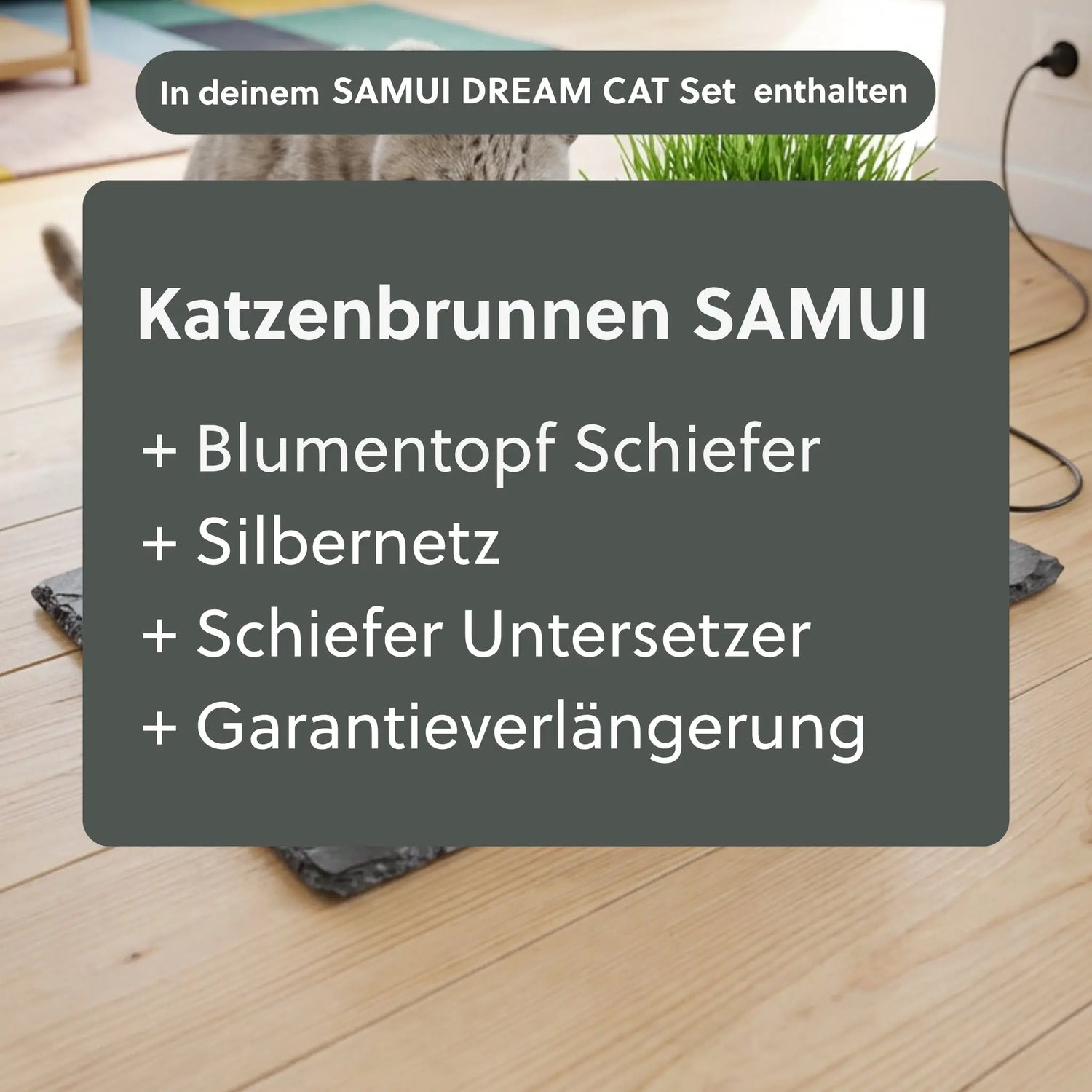 Katzenbrunnen SAMUI DREAM CAT SET - CLIMAQUA