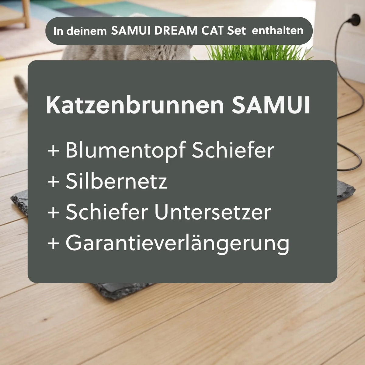 Katzenbrunnen SAMUI DREAM CAT SET - CLIMAQUA (KI-Inhalte)