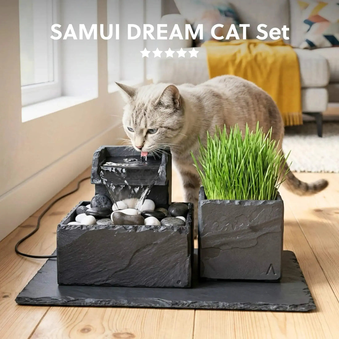 Katzenbrunnen SAMUI DREAM CAT SET - CLIMAQUA