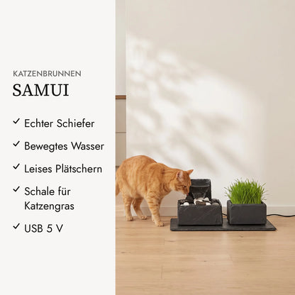 Fontaine pour chat SAMUI en ardoise véritable avec coupe pour herbe à chat dans la cuisine (KI-Inhalte)