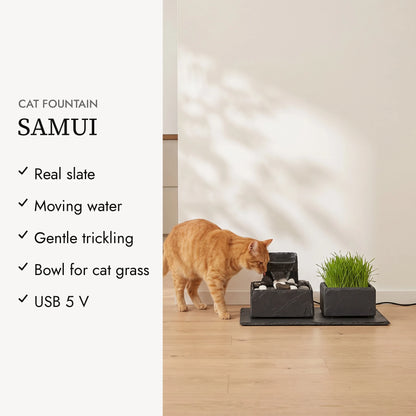 Benefits of the SAMUI PURE CAT SET (AI content)
