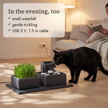 SAMUI PURE CAT SET in the evening (AI content)