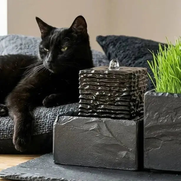 Katzenbrunnen SHANTI DREAM CAT SET - CLIMAQUA