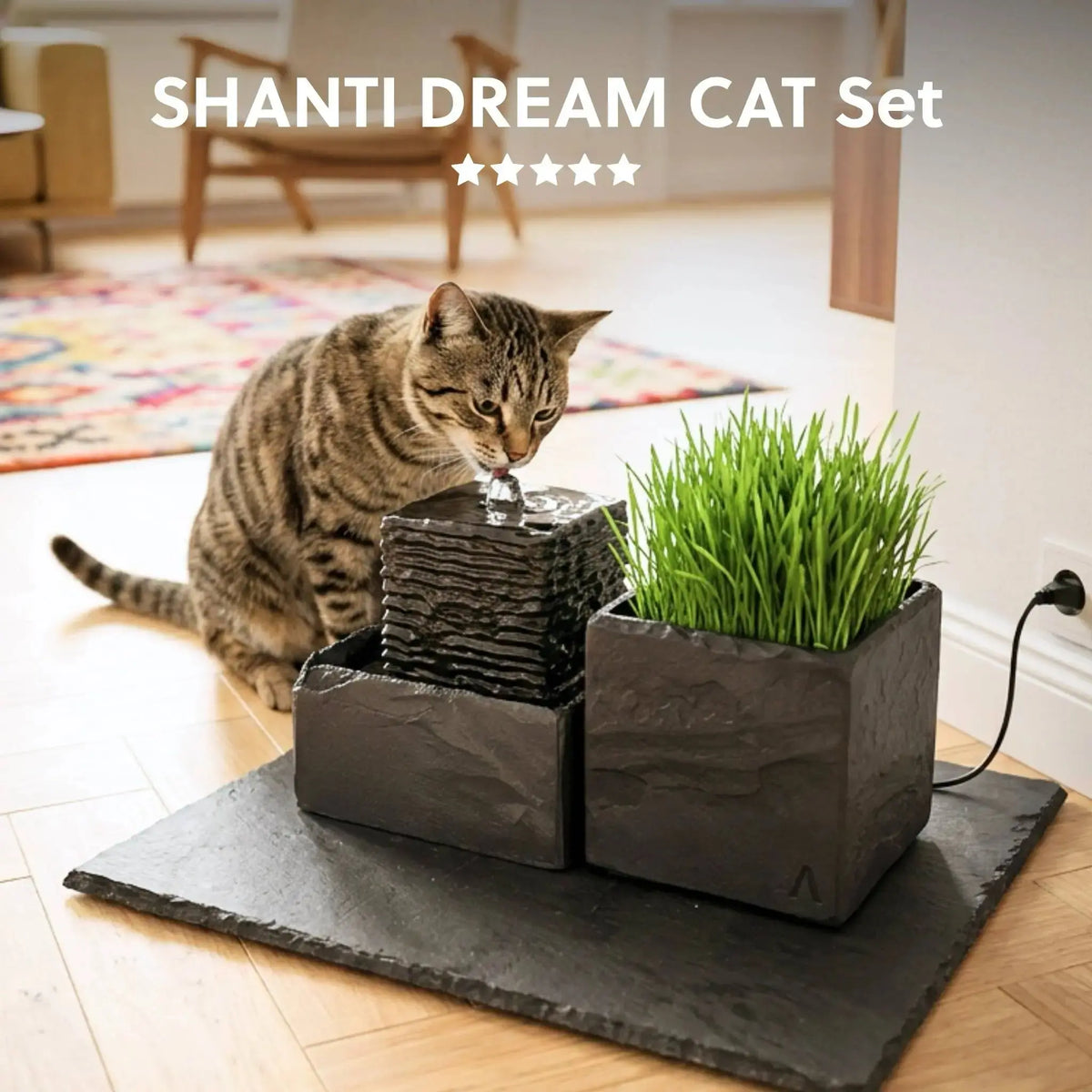 Katzenbrunnen SHANTI DREAM CAT SET - CLIMAQUA (KI-Inhalte)