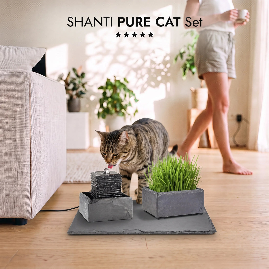 Katze trinkt am Katzenbrunnen SHANTI PURE CAT SET im Wohnzimmer (KI-Inhalte)