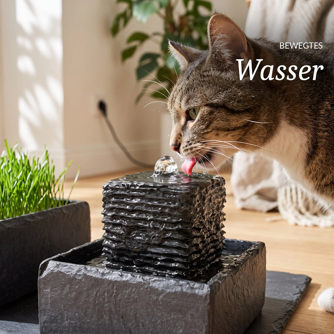 Katze trinkt bewegtes Wasser am Katzenbrunnen SHANTI (KI-Inhalte)