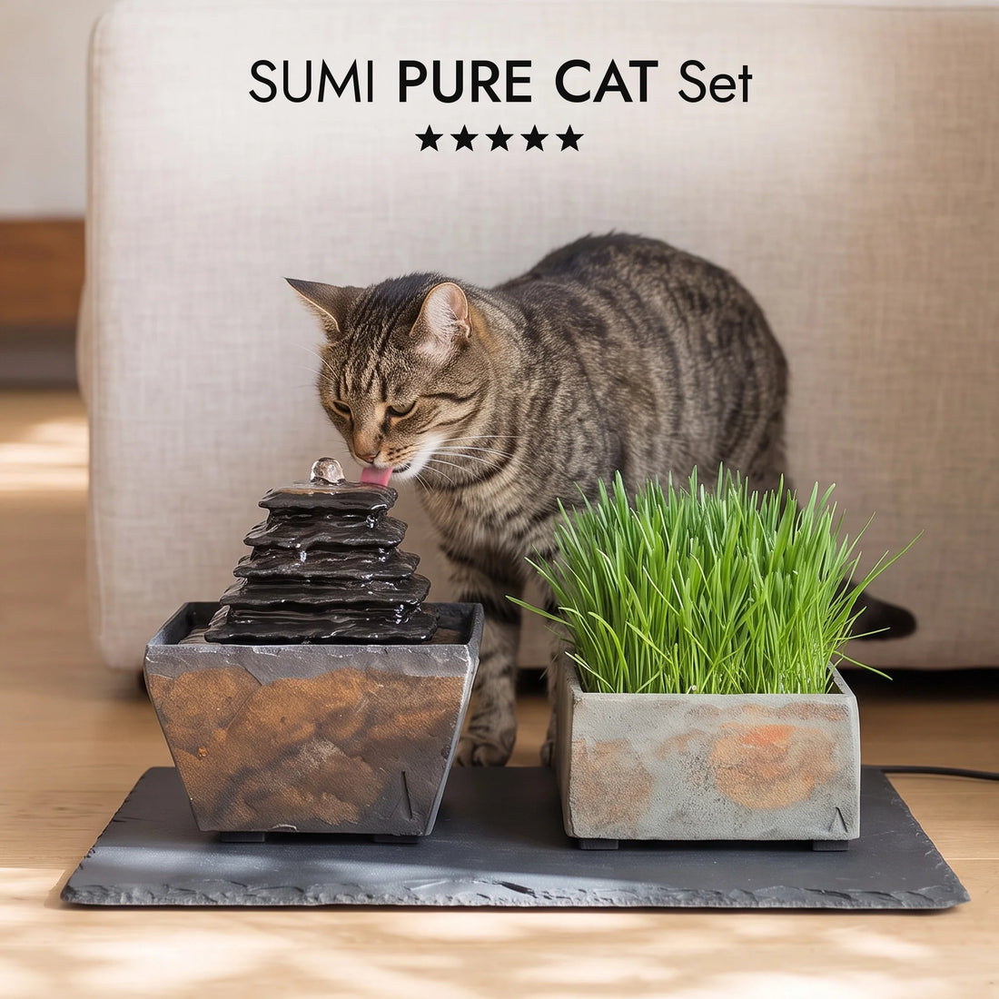 Kat drinkt bij de kattenfontein SUMI PURE CAT SET in de woonkamer