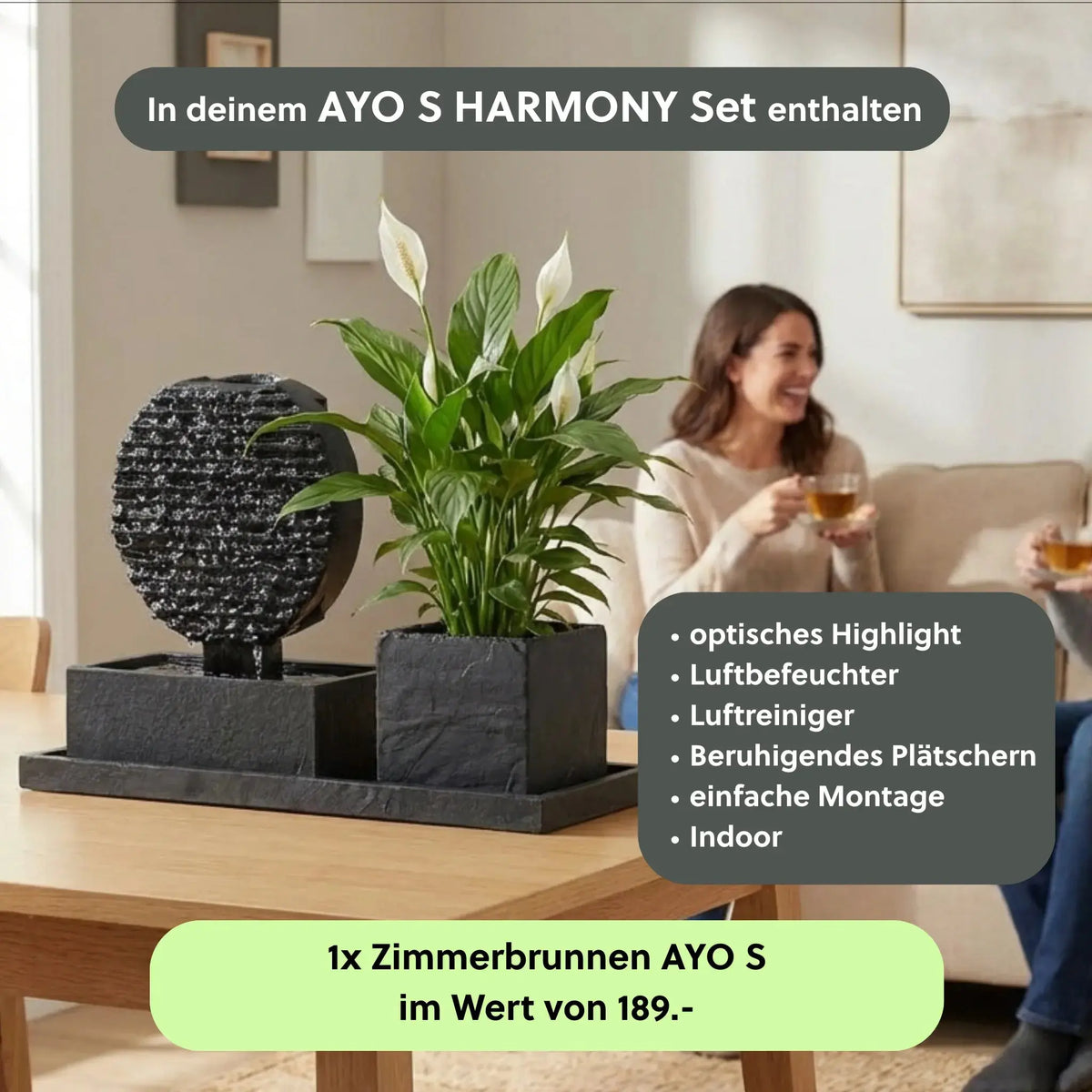 Kleiner Zimmerbrunnen AYO S HARMONY Set - CLIMAQUA