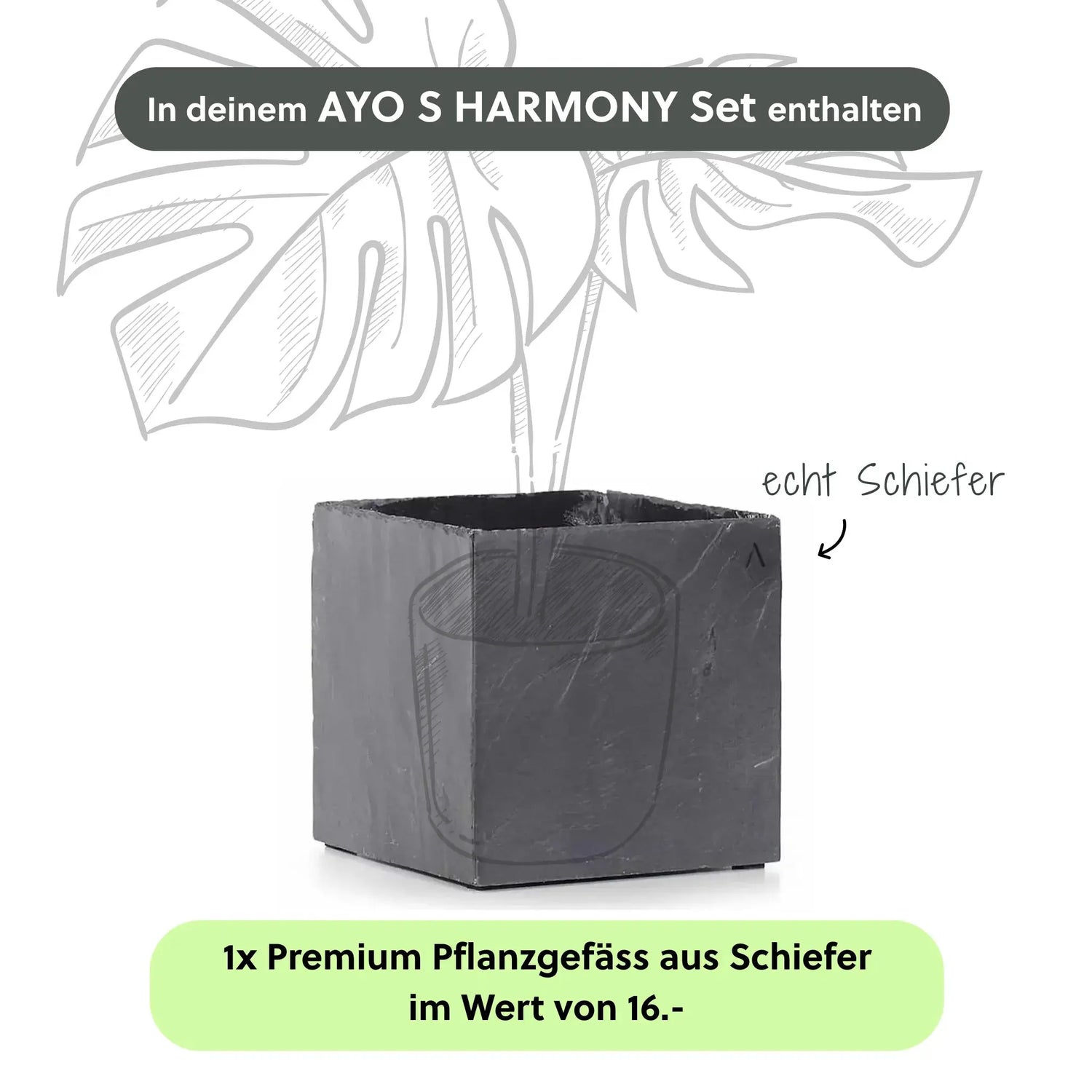Kleiner Zimmerbrunnen AYO S HARMONY Set - CLIMAQUA