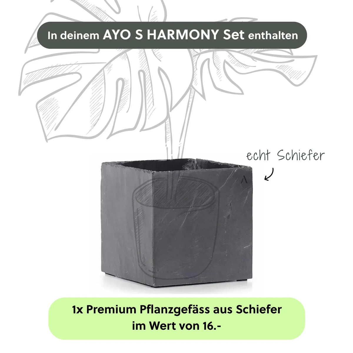 Kleiner Zimmerbrunnen AYO S HARMONY Set - CLIMAQUA