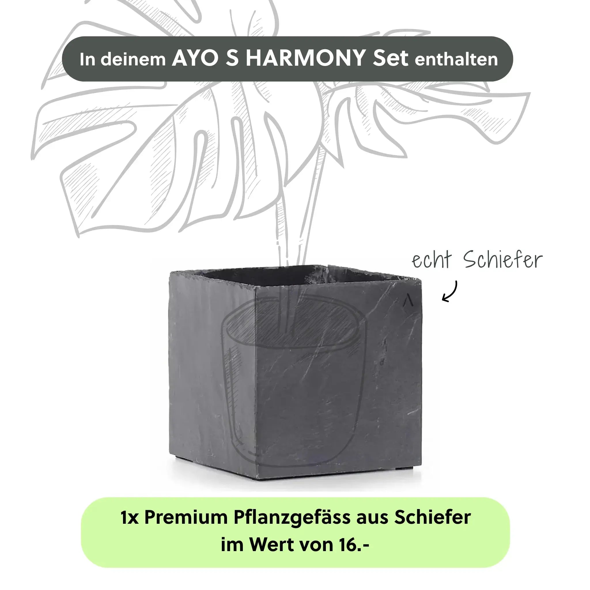 Kleiner Zimmerbrunnen AYO S HARMONY Set - CLIMAQUA