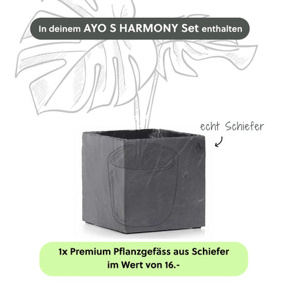 Kleiner Zimmerbrunnen AYO S HARMONY Set - CLIMAQUA
