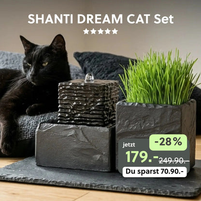 Katzenbrunnen SHANTI DREAM CAT SET - CLIMAQUA