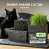 Katzenbrunnen SHANTI DREAM CAT SET - CLIMAQUA