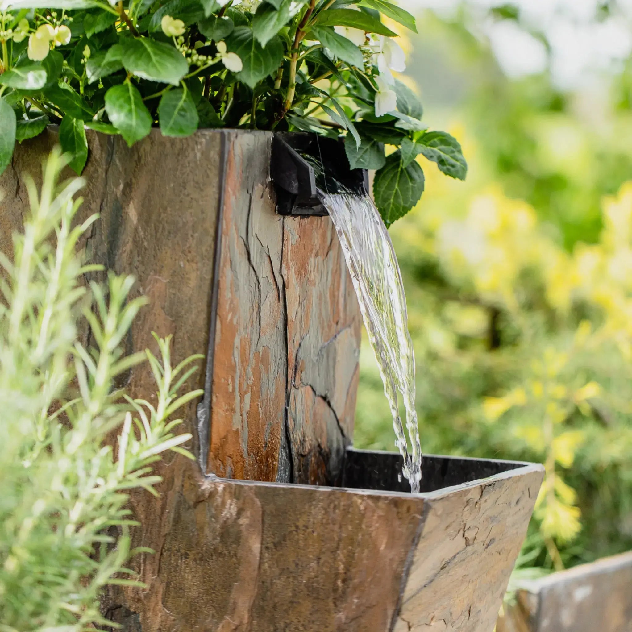 ZOE 20 PURE LIVING Set - CLIMAQUA