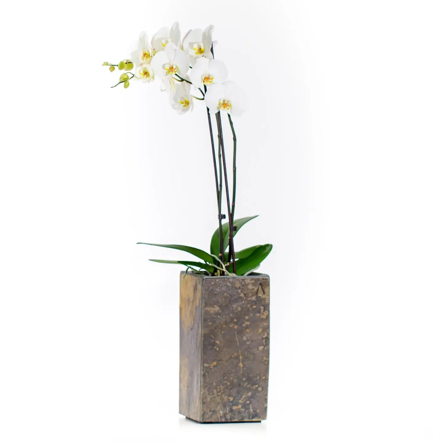 Orchideen Übertopf 13 cm Schiefer PYLO 13 Rusty - CLIMAQUA