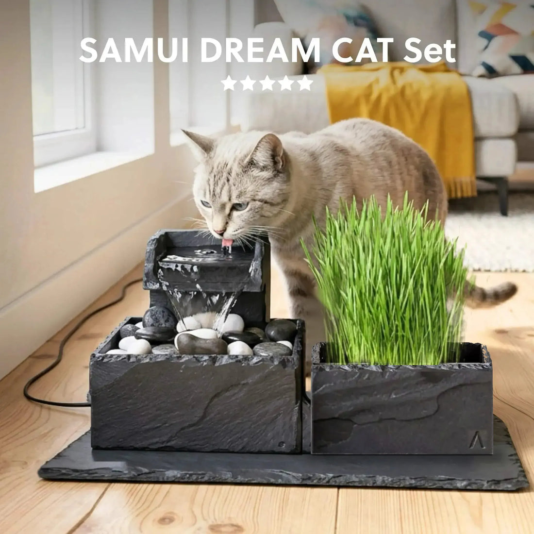 Katzenbrunnen SAMUI DREAM CAT SET