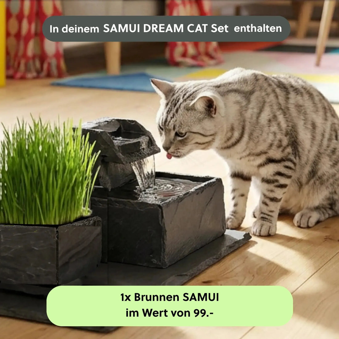 Katzenbrunnen SAMUI DREAM CAT SET