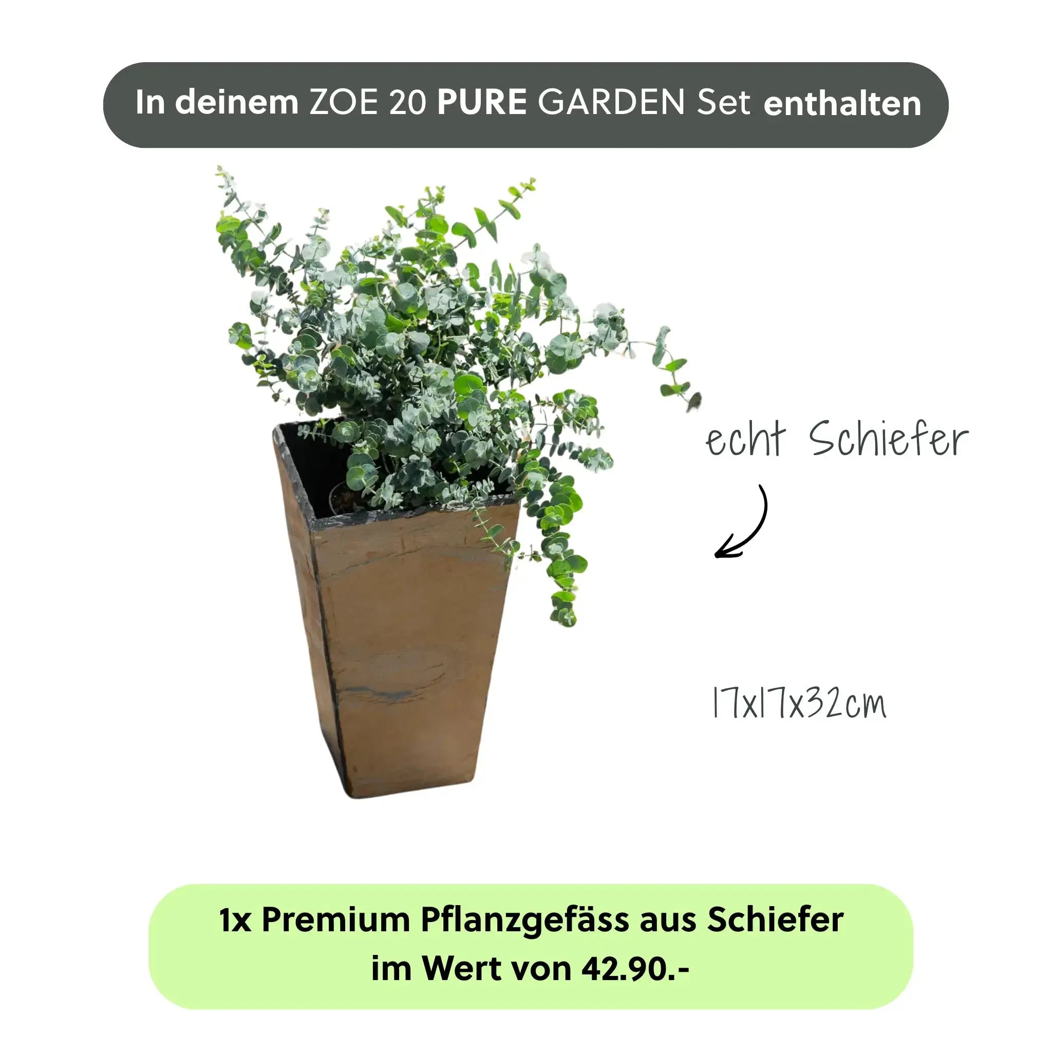 ZOE 20 PURE LIVING Set Rusty - CLIMAQUA