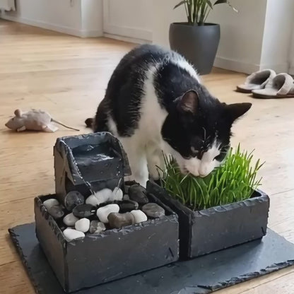 Katze frisst Katzengras und trinkt am Katzenbrunnen SAMUI PURE CAT SET (KI-Inhalte)