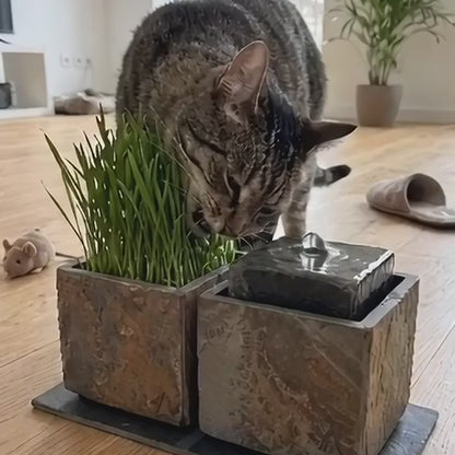 Fontaine pour chat VIDA 11 PURE CAT SET