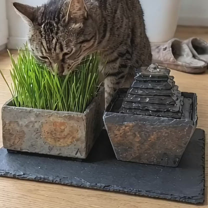 Katze trinkt am Katzenbrunnen SUMI PURE CAT SET neben dem Katzengras (KI-Inhalte)